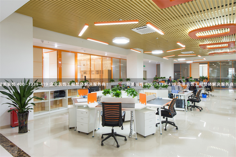 1636093363479033732.jpg DSC_7224.jpg